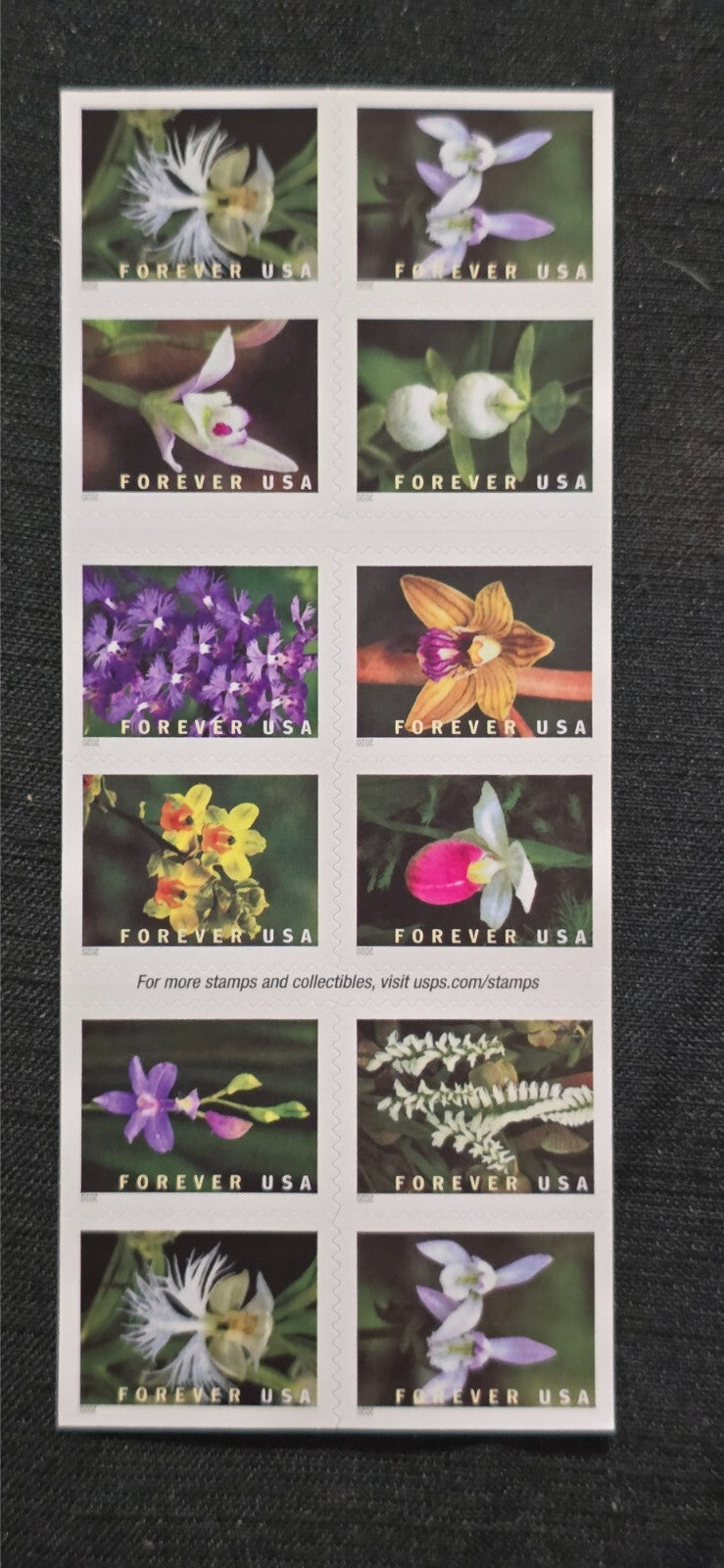 MNH Booklet of 20 First Class Forever stamps featuring Wild Orchids